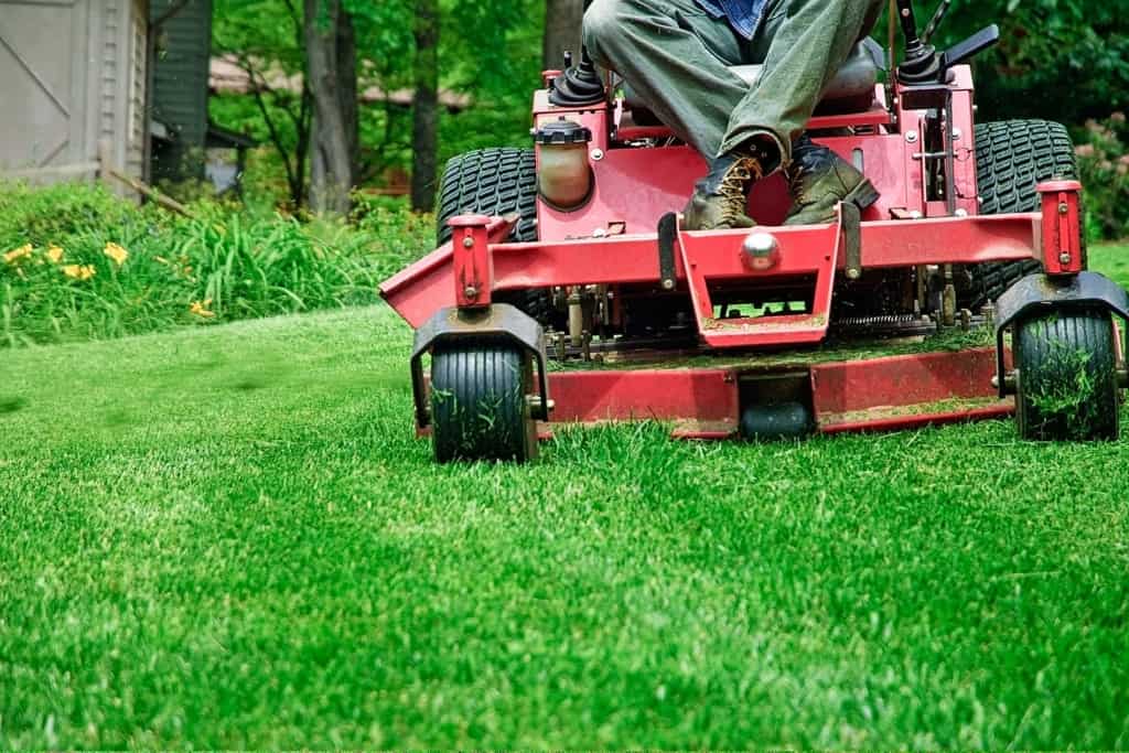 Lawn mowing can lead to grass stains on your carpets!