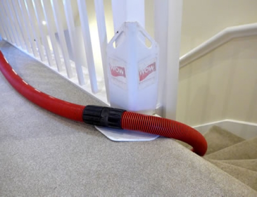 Professional Stain Removal and Carpet Cleaning in 2018