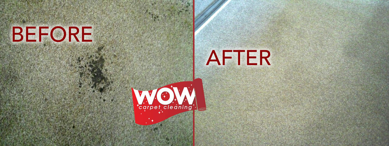 Blood Stains Removed from Carpet