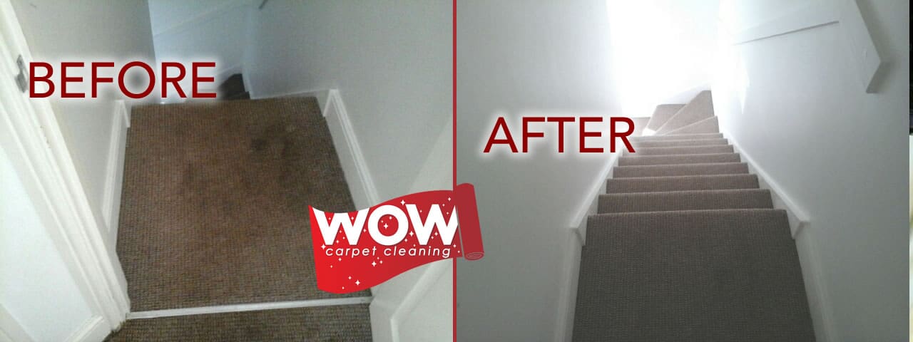 Carpet Cleaning with Dog Poo Staining